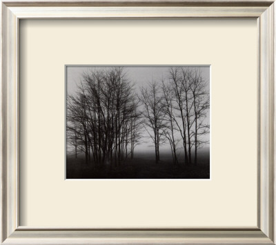 Gathering Trees by Richard Calvo Pricing Limited Edition Print image