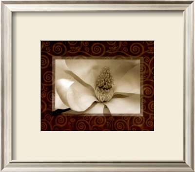 Magnolia Window I by Tony Stuart Pricing Limited Edition Print image