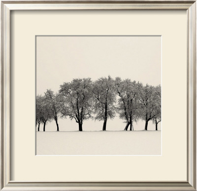 Ten Trees, Austria by Josef Hoflehner Pricing Limited Edition Print image