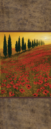 Poppy Field Panel Ii by Steve Thoms Pricing Limited Edition Print image