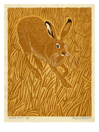 Stubble Hare by Robert Gillmor Pricing Limited Edition Print image