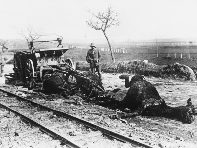 British Gs Wagon And Team Caught By Shell Fire At Fins In France During World War I by Robert Hunt Pricing Limited Edition Print image