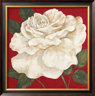 Rosa Blanca Grande Ii by Judy Shelby Pricing Limited Edition Print image
