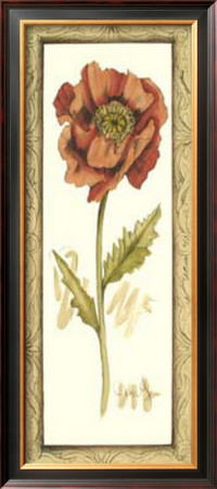 Poppy Study I by Jennifer Goldberger Pricing Limited Edition Print image