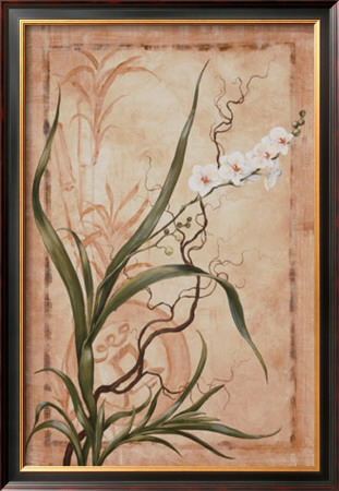 Asian Orchid I by Susanne Renee Leasure Pricing Limited Edition Print image