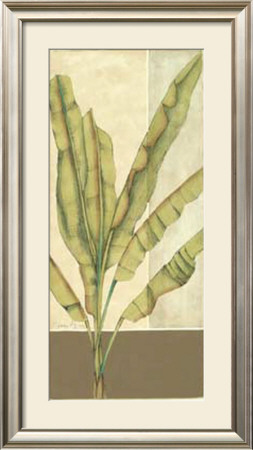 Palm Details Ii by Jennifer Goldberger Pricing Limited Edition Print image