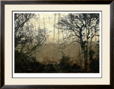 Wooded Solace Ii by Jennifer Goldberger Pricing Limited Edition Print image