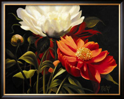 Red Peony by Diann Haist Pricing Limited Edition Print image