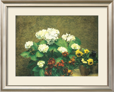Hydrangea And Pansies by Henri Fantin-Latour Pricing Limited Edition Print image