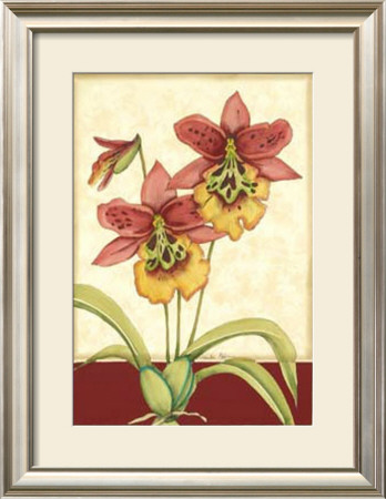 Orchid Elegance Iv by Jennifer Goldberger Pricing Limited Edition Print image