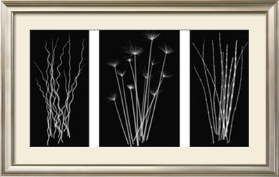Three Rushes by Jim Wehtje Pricing Limited Edition Print image