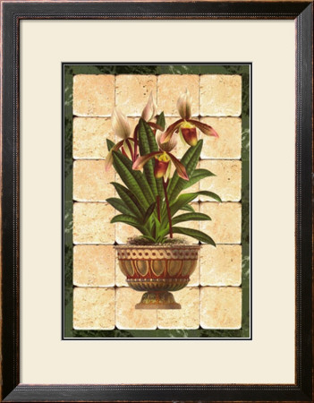 South Sea Orchids I by Franco D'ottore Pricing Limited Edition Print image