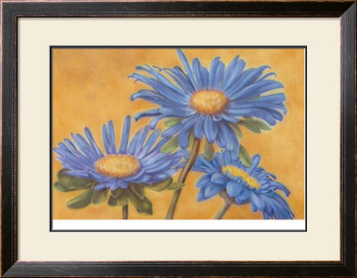 Blue Asters by M. De Flaviis Pricing Limited Edition Print image