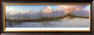 Seaside Symphony by Doug Cavanah Pricing Limited Edition Print image