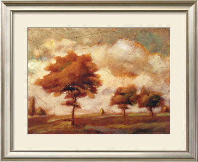 Tuscan Afternoon Ii by P. Patrick Pricing Limited Edition Print image