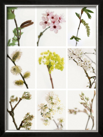 Promesse De Printemps by Deborah Schenck Pricing Limited Edition Print image