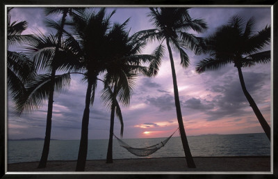 Coconut Palms by Larry Ulrich Pricing Limited Edition Print image