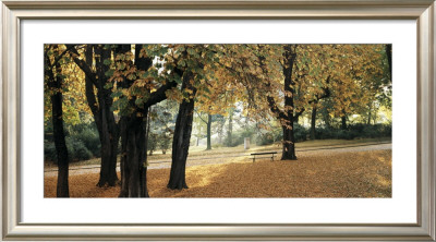 Automne Au Parc by Laurent Pinsard Pricing Limited Edition Print image