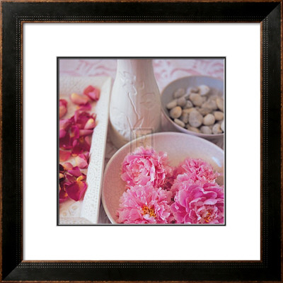 Salmon Rose I by Bill Philip Pricing Limited Edition Print image