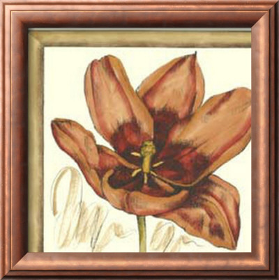 Tulip Study I by Jennifer Goldberger Pricing Limited Edition Print image