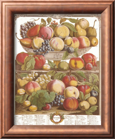Twelve Months Of Fruits, 1732, September by Robert Furber Pricing Limited Edition Print image