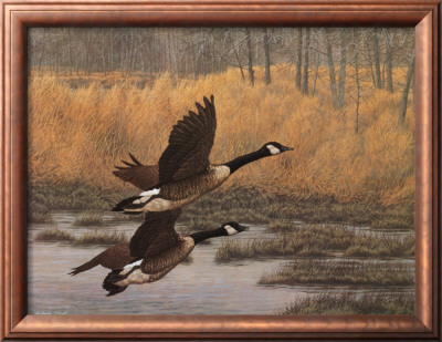 Ducks In Flight by Christopher Forrest Pricing Limited Edition Print image