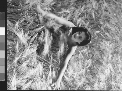 Pier Angeli, In Strapless Party Dress, Feeling The Feathery Surface Of A Field Of Ripened Wheat by Allan Grant Pricing Limited Edition Print image
