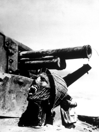 Gruesome Severed Head Of A Soldier Propped Up Below Gun Turret Of A Disabled Japanese Tank by Ralph Morse Pricing Limited Edition Print image