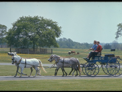 John E. Du Pont, Scion Of Huge Fortunes, Riding In Horse-Drawn Carriage by Paul Schutzer Pricing Limited Edition Print image