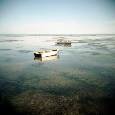 Boats by Barbara Fischer Pricing Limited Edition Print image