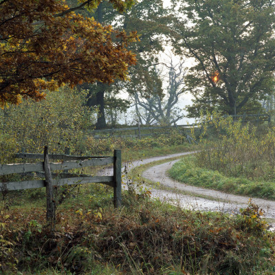 Landscape In Dalarna, Sweden by Lars Dahlstrom Pricing Limited Edition Print image