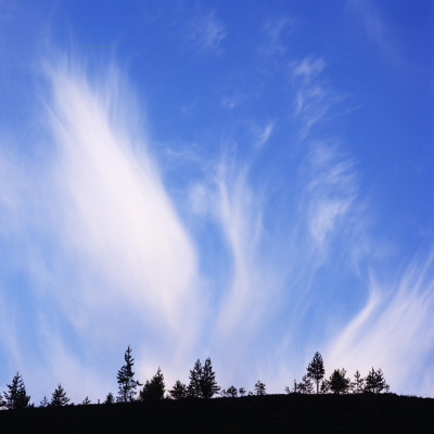 A Cloud Formation In The Sky Above Some Trees by Mikael Andersson Pricing Limited Edition Print image