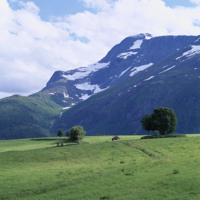 Landscape Near A Snowcapped Mountain by Lars Dahlstrom Pricing Limited Edition Print image