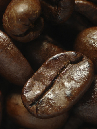 Coffee Beans by Aleksandar Milosevic Pricing Limited Edition Print image