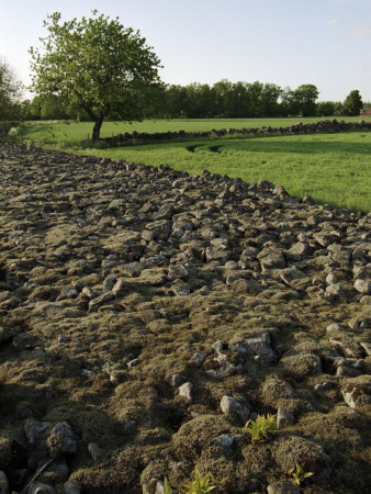 Stone Border, Smaaland, Sweden by Borje Tobiasson Pricing Limited Edition Print image