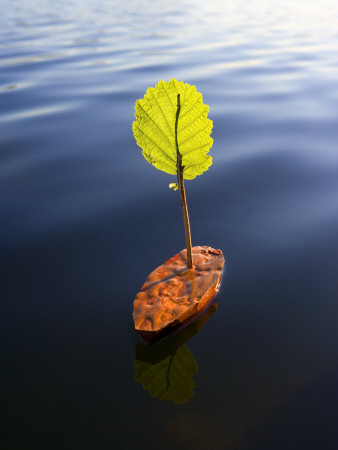 A Little Boat by Anders Ekholm Pricing Limited Edition Print image