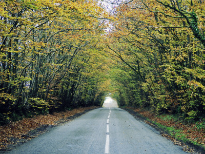 Blackdown Hills, Somerset by George Ramsay Pricing Limited Edition Print image