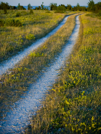 A Gravel Road Leading To A Beach by Jann Lipka Pricing Limited Edition Print image