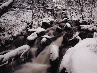 River Passing Through A Forest, Lapland by Kalervo Ojutkangas Pricing Limited Edition Print image