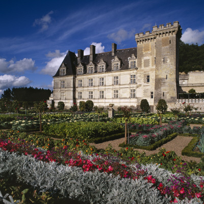 The Great Ornamental Potager At The Chateau De Villandry, France by Clive Nichols Pricing Limited Edition Print image