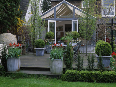 Decked Terrace And Conservatory- Table, Chairs, Metal Containers Planted With Tulip 'Ballerina' by Clive Nichols Pricing Limited Edition Print image