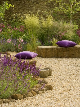 Gravel Garden With Rocks, Purple Cushions, Salvia Smouldering Torches, Deschampsia Goldschleier by Clive Nichols Pricing Limited Edition Print image