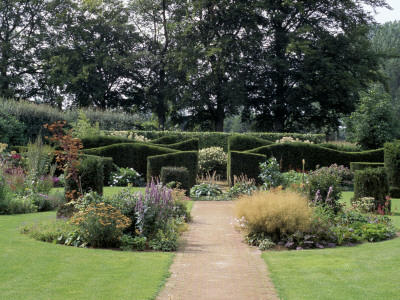 View Down The Garden With Unusual Hedging, At Hummelo, Netherlands, Designers: Piet And Anja Oudolf by Clive Nichols Pricing Limited Edition Print image