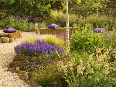 Gravel Garden With Rock Seats, Cushions, Salvia X Superba, Stipa Tenuissima, Rudbeckia Green Wizard by Clive Nichols Pricing Limited Edition Print image