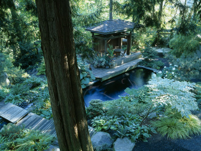 Woodland Garden - Koi Pond And Indonesian Gazebo, Designer: Ilga Jansons And Mike Dryfoos by Clive Nichols Pricing Limited Edition Print image