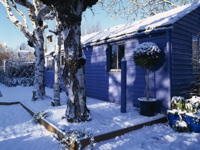 Blue Summerhouse, Decking And Birch Trees Covered With Snow, Designer: Clare Matthews by Clive Nichols Pricing Limited Edition Print image