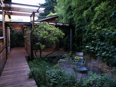 Diagonal Decking, Bamboos, Metal Chairs And Table, Designer: Bob Swain by Clive Nichols Pricing Limited Edition Print image