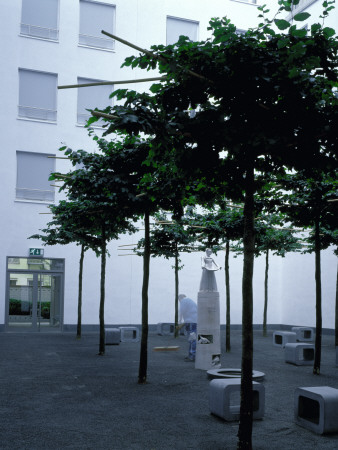 Funf Hofe, Munich Germany, Single Trees, Architect: Herzog De Meuron by James Balston Pricing Limited Edition Print image