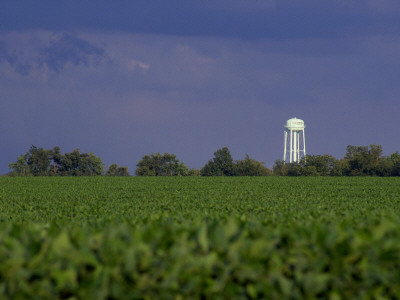 Soybean Field And Water Tower, Illinois by Marcus Bleyl Pricing Limited Edition Print image