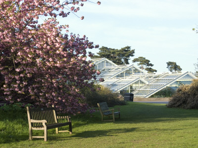 View Of Princess Of Wales Conservatory, Kew Gardens, Kew, Greater London by Natalie Tepper Pricing Limited Edition Print image